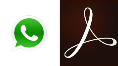 Adobe Acrobat e WhatsApp foram os aplicativos mais baixados
