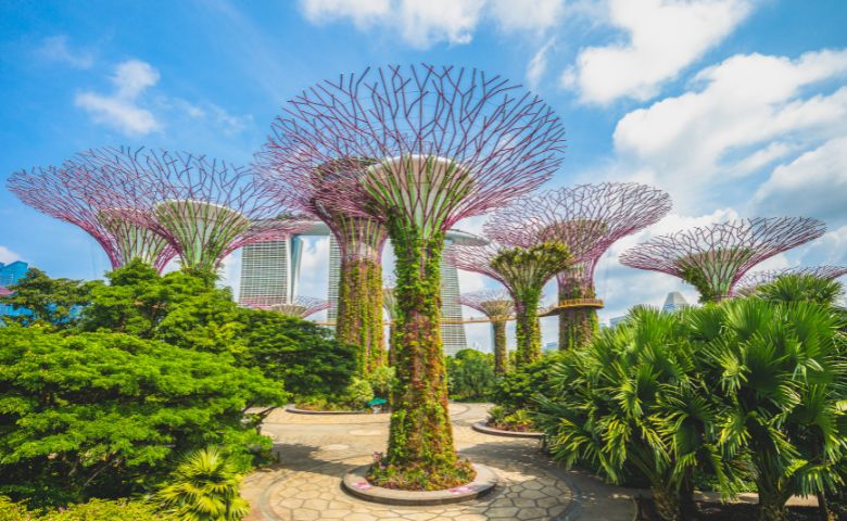 Arquitetura Biofílica - Gardens by the Bay in Singapore - Foto Richie Chan - Divulgação Canva