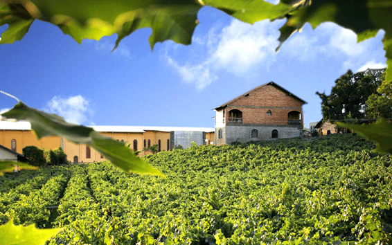 Casa Valduga se destacou entre outras 60 vinícolas - Foto: Divulgação