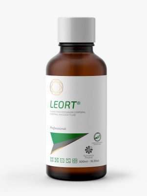 Leort irá ser oficialmente lançado na Estética in Nordeste
