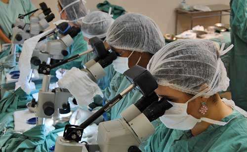 Equipe de enfermagem da Clínica Gabriele preparando as UFs (Unidades Foliculares) sob visão microscópica
