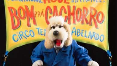 Ajote recebe o Anima - Festival de Teatro de Bonecos de Joinville
