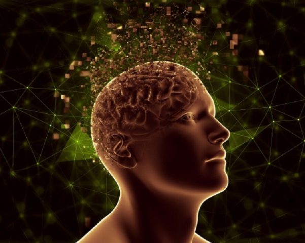 Foto Divulgação: Potencialize seu cérebro - Universo Vibracional