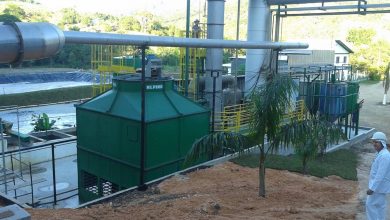 Empresa catarinense processa 300 toneladas de resíduos de pescados diariamente