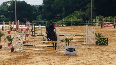 Hipismo será realizada a 2ª etapa do Circuito Centro-Oeste Guabi - Divulgação