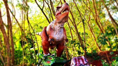 Vale dos Dinossauros ganha novas feras e mais aventuras