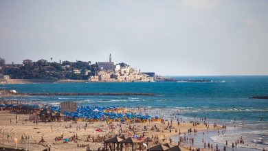 Recorde de Bbrasileiros no verão israelense