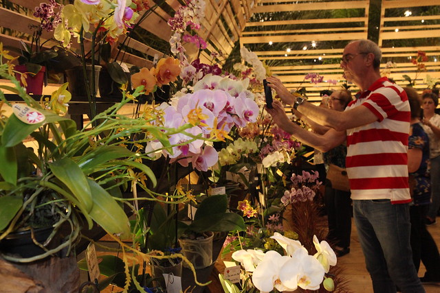 81ª Festa das Flores de Joinville conecta natureza e qualidade de vida
