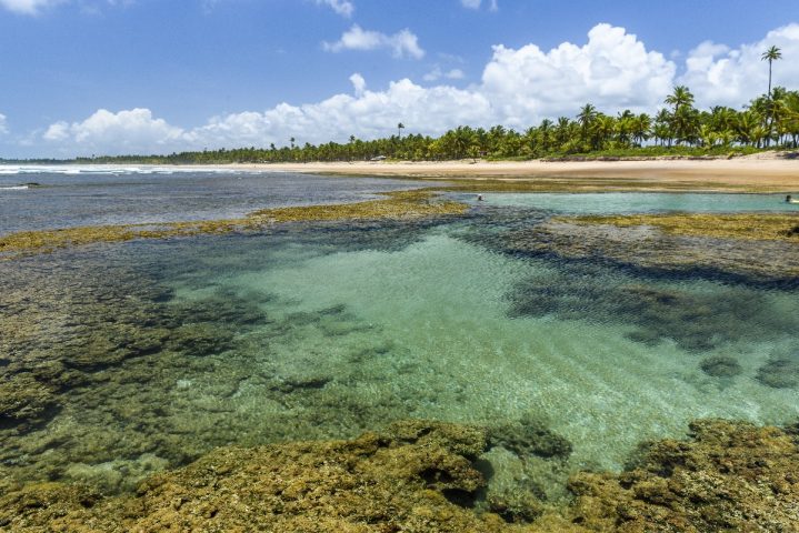 Bahia é o Estado mais buscado para turismo em 2019, de acordo com um levantamento do Hurb - Hotel Urbano