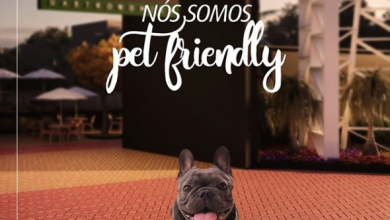 Wila Gastronômica é petfriendly