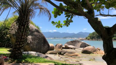 Pousada Ilha do Papagaio, um paraíso para casais com ou sem filhos