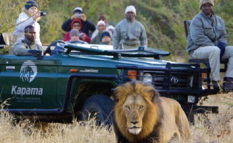 Agência Labadee Tour - O Safári na região do Kruger Park - África do Sul divulgação