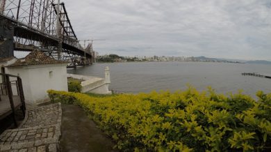 Viva a Ponte: comércio movimentou cerca de R$ 1,2 mi no evento de reabertura