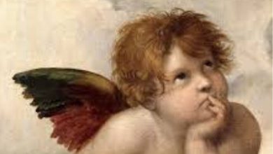 Raffaello Sanzi, musement,foto divulgacao,uiara zagolin