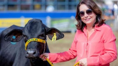 Produtora de Minas Gerais é referência na pecuária e na agricultura