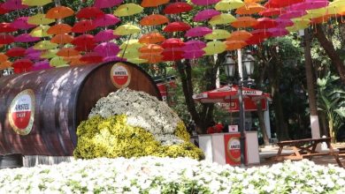 Expoflora maior exposição de flores será adiada para 2021