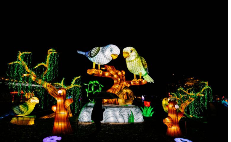 Festival de Lanternas Chinesas da Carolina do Norte está de volta