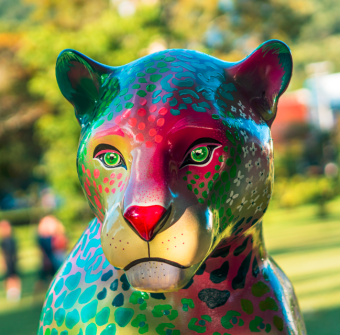 Face it Vegan Beauty Apoia Jaguar Parade