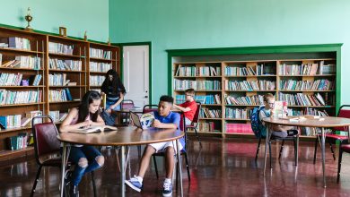 Pesquisa traz um retrato das bibliotecas escolares no cenário paulista. Foto RDNE Stock