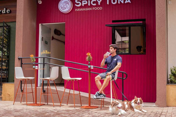 Spicy Tuna - Foto: Divulgação Pessoal