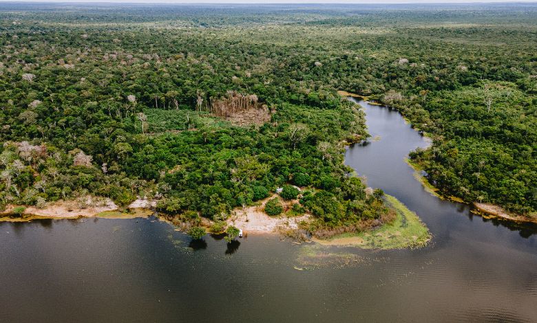 Tour - Aromático - Amazônia - Foto - Divulgação