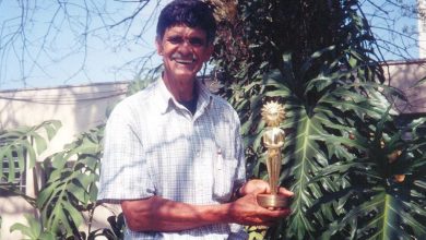 Cinema Paradiso Brasileiro: José Luiz Zagati
