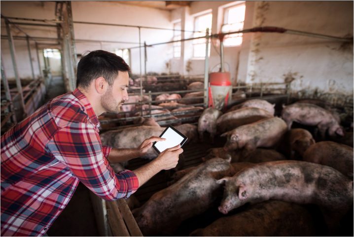 Empresário foca em produtividade e sustentabilidade agrícola nos EUA