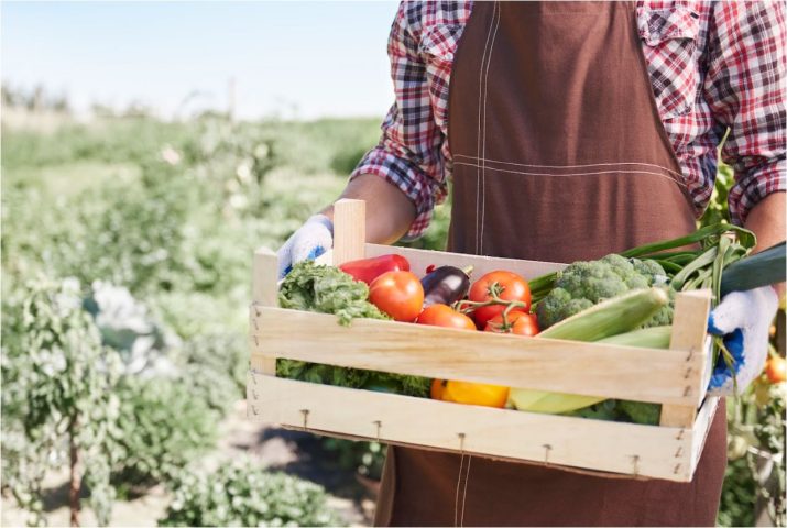 A liderança como pilar estratégico no agronegócio A liderança como pilar estratégico no agronegócio