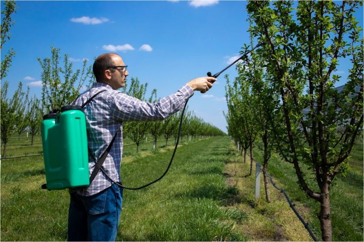 Engenheiro agrícola explica a importância dos novos defensivos agrícolas para o campo e o mercado Engenheiro agrícola explica a importância dos novos defensivos agrícolas para o campo e o mercado