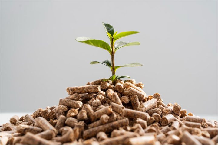 Inovação química a serviço da sustentabilidade Inovação química a serviço da sustentabilidade