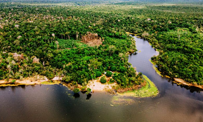RDS do Uatumã - Foto - Aura Amazônia