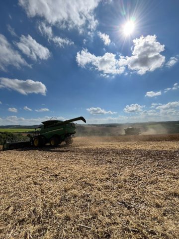 Pioneiros em soluções agroindustriais, o grupo Multibelt celebra 37 anos de história! Pioneiros em soluções agroindustriais, o grupo Multibelt celebra 37 anos de história!