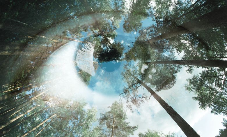 Encontro Internacional-Amazônia-Foto-Galimzianova-GettyImages